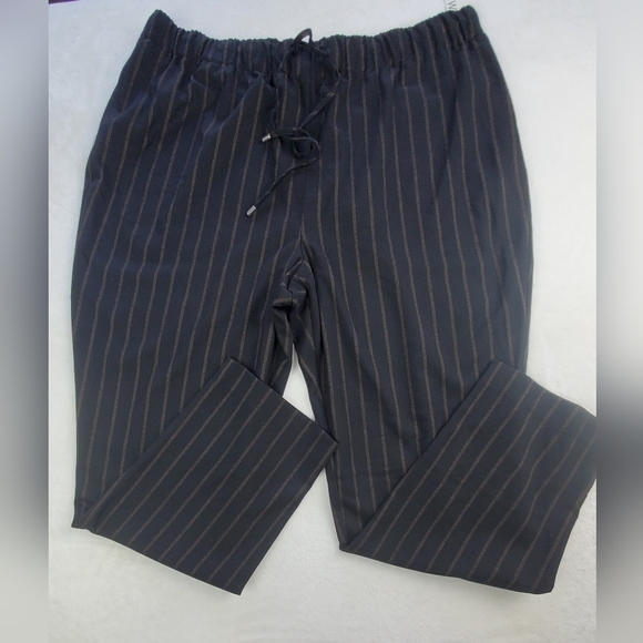 Nine West Medium Thickness office BUSINESS Casual Career Women's pants Size XXL - Picture 1 of 10